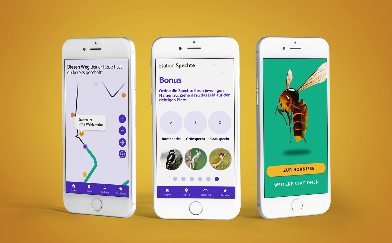 Handydisplay zeigt drei verschiedene Seiten der Lern-App
