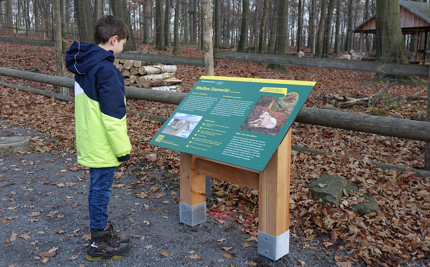 Boy stands in front of information board in the forest
