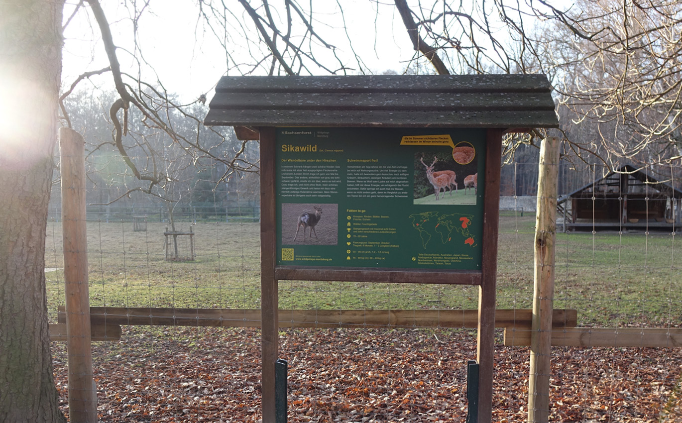 Enclosure and information board about sika deer